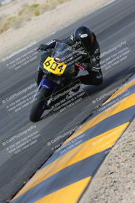 media/Mar-12-2023-SoCal Trackdays (Sun) [[d4c8249724]]/Turn 4 Inside (1040am)/